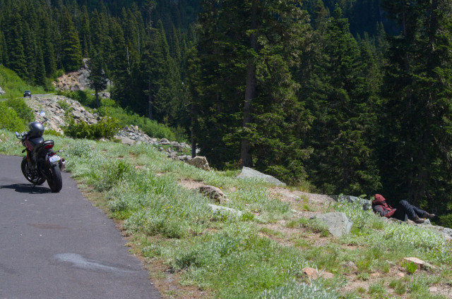 A motorcycle on the side of the road. The driver is lying on the grass a few feet away, on an downward incline.
