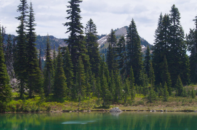 A small pond at about the midway point of the Naches Peak Loop.