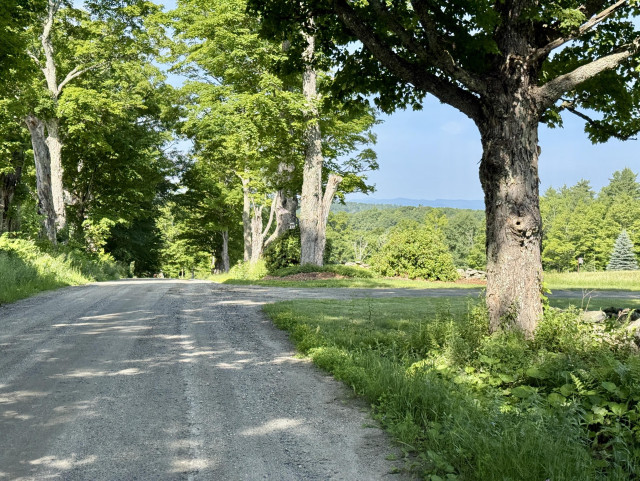 Gravel road line with old trees, a slightly foggy view in the distance of Vermont.