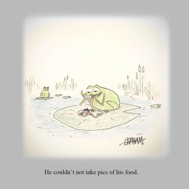 A cartoon illustration of a frog on a lily pad taking a photo of a fly stuck to his tongue. Caption reads "He couldn't not take pics of the his food."