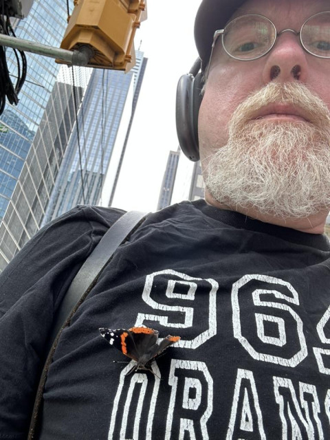 A red black and white butterfly spreading its wings while perched on the breast of a bearded man wearing headphones. They are surrounded by tall buildings.