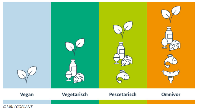 Grafische Übersicht der vier Ernährungsformen Vegan, Vegetarisch, Pescetarisch, Omnivor.