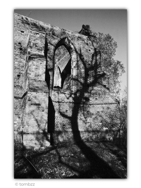 This black-and-white photograph depicts the ruins of a brick church, captured from a low angle. The monumental wall, pierced by a tall Gothic arch window, bears the unmistakable marks of time. Parts of the structure have collapsed, leaving the church open to the sky. Cracked bricks, missing sections of masonry, and uneven edges emphasize the building's abandoned character.
The most striking element is the shadow of a tree cast across the facade. It begins at the base of the church as a broad, dark shape, then climbs the brick wall, gradually dividing into thick branches and finer twigs. The higher it reaches, the softer and more delicate the shadow becomes, as if it is slowly dissolving into the light. Its shape may evoke the silhouette of a giant figure or a mythical creature stretching its arms across the ruins.
Beyond the broken walls, the crowns of living trees rise into the sky, their branches creating this remarkable interplay of light and shadow. The contrast between the rigid geometry of the Gothic architecture and the organic form of the tree creates a scene where nature is no longer just surrounding the ruins, but seems to have quietly reclaimed them.