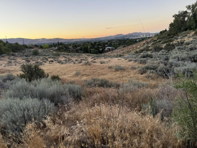 The colors of the grasses are warm, but the sun is gone over the horizon. Soft yellow/pink/orange afterglow remains in the sky. 