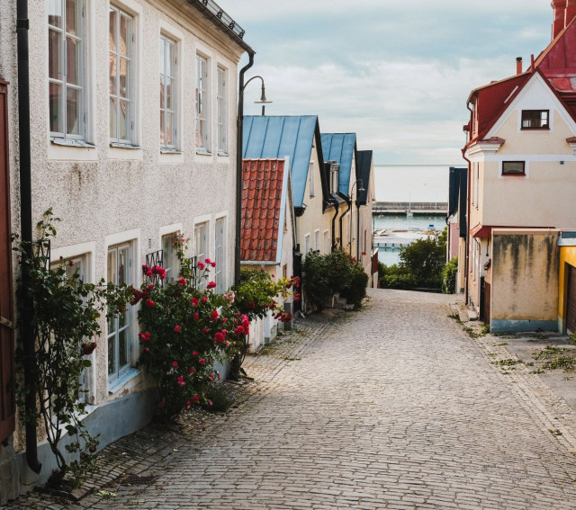 A narrow cobblestone alley slopes gently downhill between old whitewashed and pastel-coloured buildings on Gotland, Sweden, framed by climbing pink roses along the left wall. Steep tiled and metal rooftops line both sides of the street, leading the eye toward a small harbour with sailboats visible at the end of the lane. The overcast evening sky is soft and diffused. The scene has a quiet, timeless charm typical of the island’s old town streets.