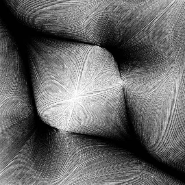 A black-and-white image of curves that approximate a differential equation.  There are regions of varying density giving the imag the appearance of light and shadow.