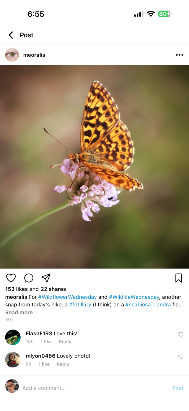 New pixelfed mobile app post screen