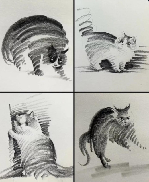 Four sketches of cats in different poses, drawn in minimal strokes in pencil.
