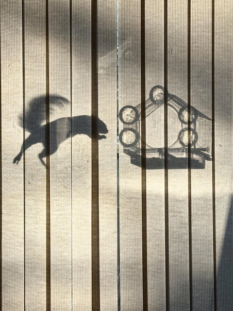 A shadow of a squirrel jumping to get food from a bird feeder