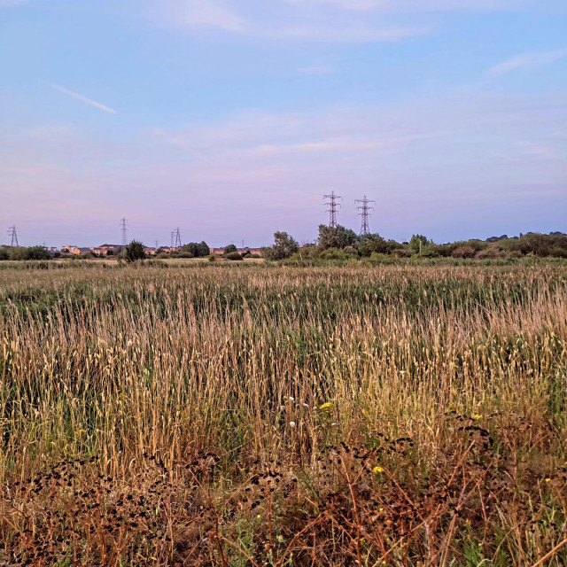 Marshes sprawling into the distance with orange hues in the sunset light, in the distance the sky is pink and blue, with a few pylons dotted about.