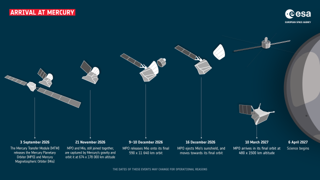 An infographic showing the different stages of BepiColombo's arrival at Mercury. Each step shows the configuration of the different spacecraft as they separate from one another, depicted as simplified grey drawings on a dark blue background. A vertical line connects the image for each step to the corresponding date and description at the bottom. An image of Mercury lies on the right edge of the infographic