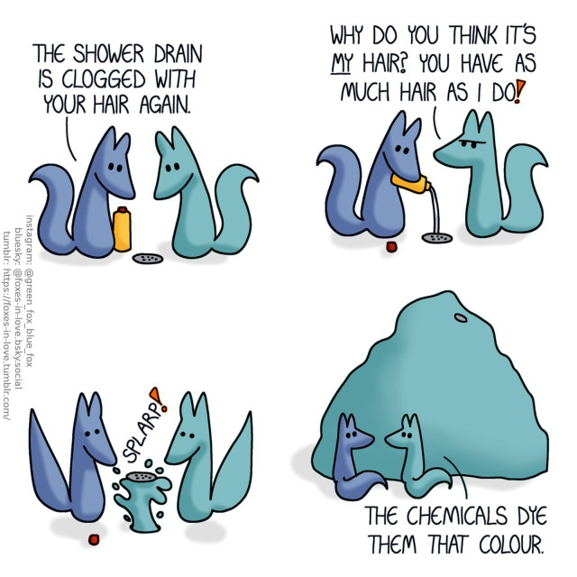A comic of two foxes, one of whom is blue, the other is green. In this one, Blue and Green are peering into a shower drain. Blue: The shower drain is clogged with your hair again.  Green frowns at Blue as Blue opens a bottle of drain cleaner, and pours the colourless liquid into the drain. Green: Why do you think it's my hair? You have as much hair as I do!  The foxes jump in surprise as semi-liquefied drain-clogging sludge of hair and rain cleaner chemicals bursts up from the drain like a fountain, lifting the drain cover up with it.  Once the sludge has settled into an enormous pile, foxes look at each other as they sit beside it. The sludge pile is more than twice as tall as the foxes are, and its colour matches the shade of Green's fur perfectly. Green: The chemicals dye them that colour.