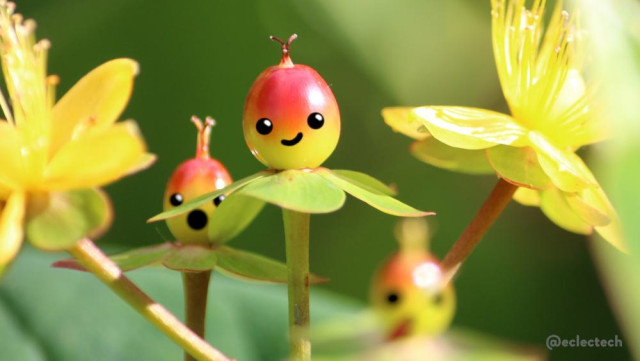 Photo of a St Johns Wort plant, focused on a central berry (red at the top shading to lime green at the bottom, ring of leaves like a frilly neckline at its base). There are bright yellow flowers either side, and a couple of other berries below, all blurred in varying degrees. Each berry has a wee face drawn on. The central one is smiling, the blurred one half hidden by the central on looks surprised, the very blurred one on the right appears to be sticking its tongue out (there's always one).