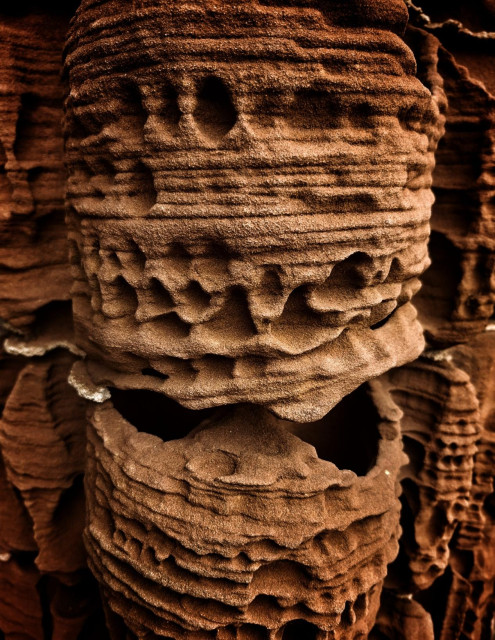 Eroded stone forming a honeycomb.
