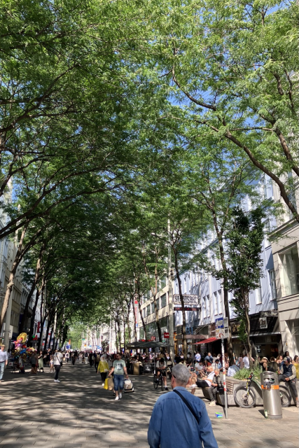 Foto von Fußgängerzone Mariahilferstraße in Wien, große Bäume, die gemeinsam ein Blätterdach bilden