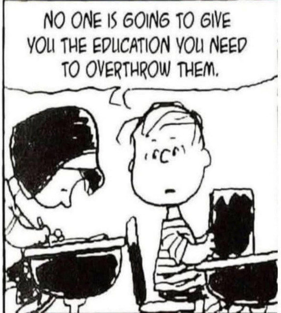 Cartoon of Linus and Lucy at their school desks and Linus is telling her "No one is going to give you the education you need to overthrow them."