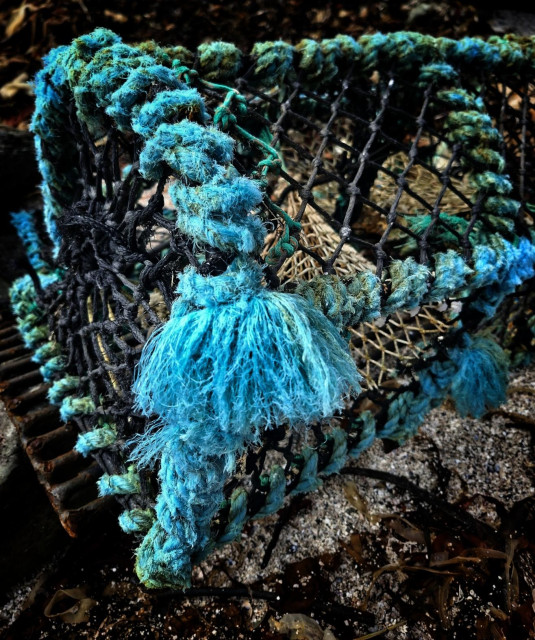 Lobster pot fringed with blue rope