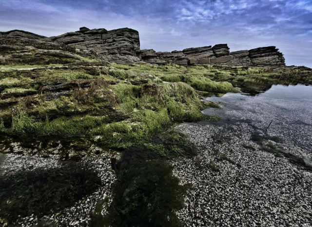 Bright green, grassy coastline.