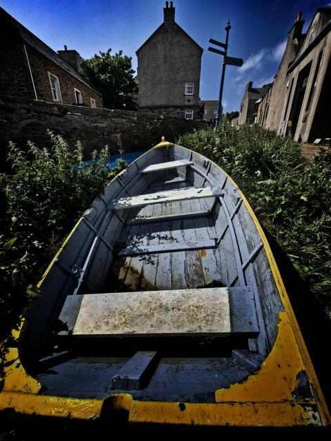 Rowing boat plonked in shrubs in front of road.
