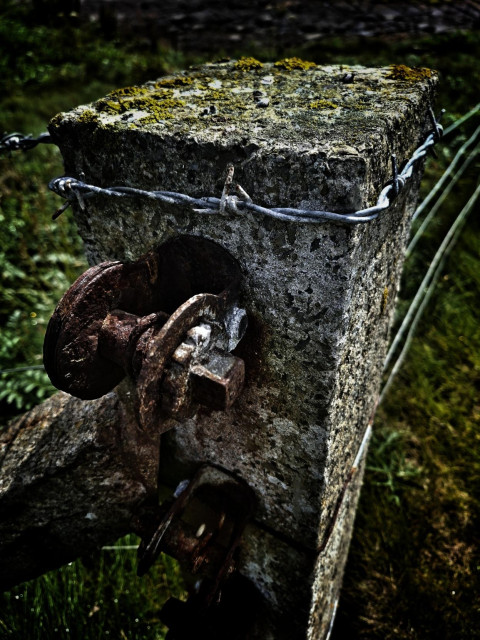 Old concrete fence post with bright green moss.