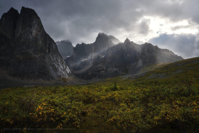 A dense foreground of low tundra shrubs in yellow and green autumn colour sweeps toward a dramatic wall of dark, jagged peaks under a turbulent storm sky, with shafts of light breaking through the cloud cover and illuminating sections of the rock faces and the valley between the summits. A massive sheer cliff face dominates the left side of the frame, while rain or mist visibly falls through the gap between the peaks in the middle distance.
