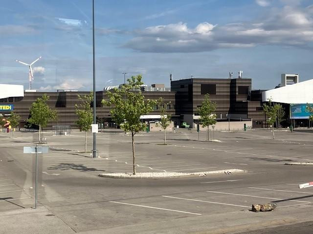 Foto von einem großen, leeren asphaltierten Parkplatz in der Sonne mit ein paar kleinen Bäumchen. Foto: VCÖ