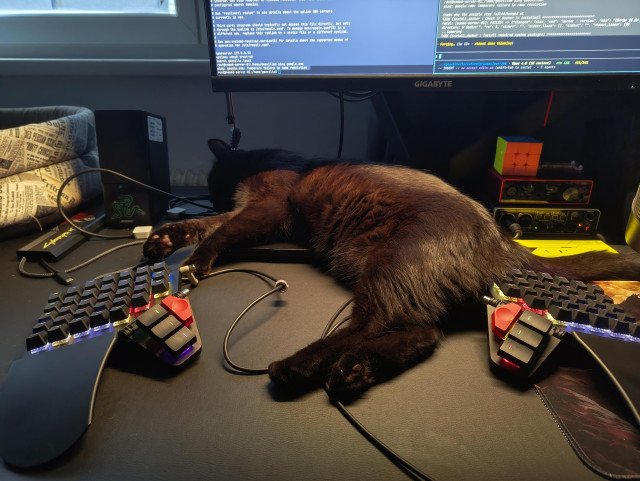 Cat sleeping between the two parts of a split keyboard 