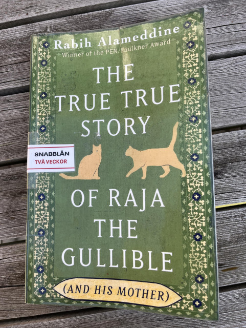 The True True Story of Raja the Gullible (and His Mother)