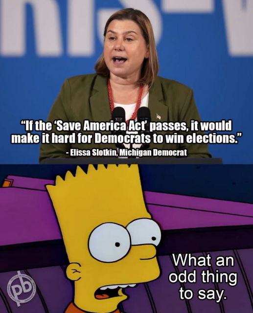 Top: Photo of Senator Elyssa Slotkin. Quote reads, "If the Save America Act passes, it woul d make it hard for democrats to win elections."
Bottom: Bart Simpson. Quote reads: "What an odd thing to say."