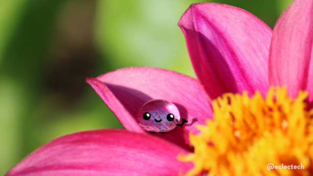 Photo of a pink-petalled, yellow-centred flower with a drop of water on one of its petals, against a blurred bright green backdrop. The water drop has a cute happy little face drawn on, little feet and arms, one raised in a wave.