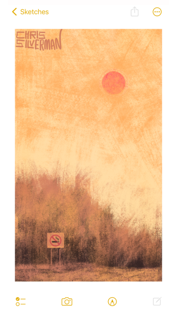 A pale orange sky, a red sun, and a dull, smoggy treeline. If you're downwind of Canada right now, this scene probably looks familiar. In the lower left corner is a small "no smoking" sign, for all the good that will do. Keep an eye on your AQI apps, folks. The painting is signed "Chris Silverman".
