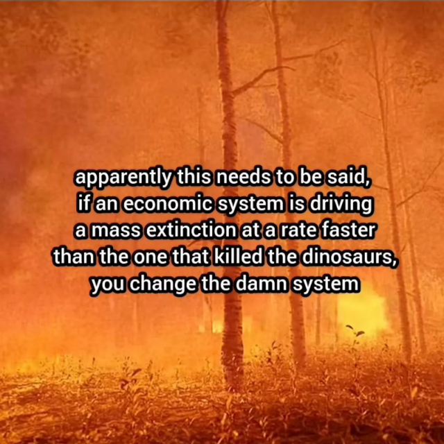 Image of a forest on fire.

Text over the centre of the image reads:

apparently this needs to be said,
if an economic system is driving
a mass extinction at a rate faster
than the one that killed the dinosaurs,
you change the damn system
