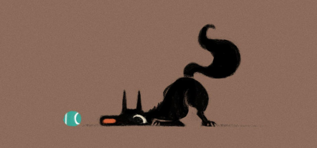 The same, sketchy black dog in a playful pose with his head down staring at a ball.