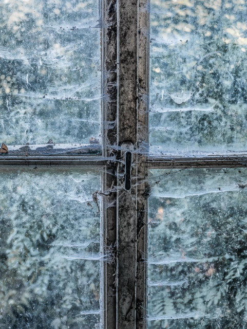Die Mitte eines Fensters, näher dran. Die Scheiben grau von unendlich vielen und altstaubigen Spinnenfäden.