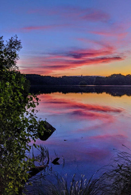 We are standing on the shore of a large lake. Below us are tufts of water grasses growing just offshore, a partially submerged rock and a partially submerged tree limb. To our left is a large leafy shrub. It is a calm evening, the lake surface is just slightly rippled. Across the lake is a low wooded ridge topped by a water tower. Beyond that a glimpse of a slightly higher ridge. Most of the sky is a deep blue. The recently set sun tints the horizon gold. Upper level winds have created a gentle swirl effect in some passing clouds. From below the horizon the sun's rays are tinting the bottoms of the clouds bright pink and deep purple.