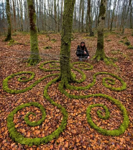 Intricate spiral patterns meticulously arranged around a tree trunk using only natural moss.