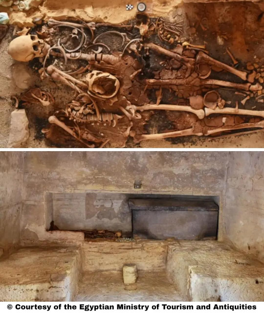 Ancient tombs with golden tongues found at Egypt’s Marina El Alamein reveal 2,000-year-old burial secrets