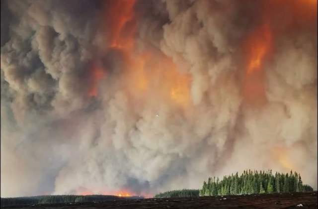 A forest fire 