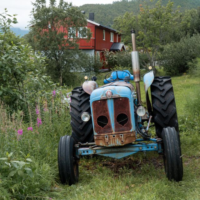 Ein etwas in die Jahre gekommener, babyblauer Traktor mit ein paar Rostflecken und einem imposanten, senkrecht stehenden Auspuffrohr. Er steht in einem Garten, umgeben von Grün und Blümchen. Im Hintergrund ist ein typisch skandinavisches rotes Holzhaus zu sehen. 

A somewhat aging, baby-blue tractor with a bit of rust and an imposing vertical exhaust pipe. It stands in a garden surrounded by greenery and flowers. In the background, you can see a typical Scandinavian red wooden cottage. 
