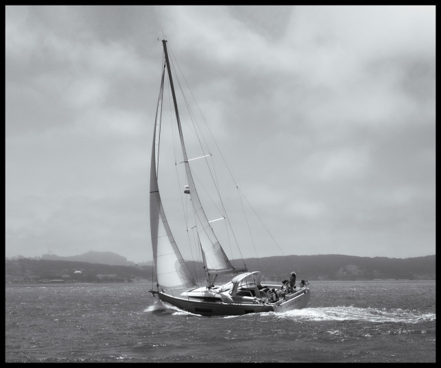 A monochrome picture taken from the Neptune Society's boat as we headed towards Sausalito across San Francisco Bay. A sailboat passed by, silently, with its tall white sails catching the wind and the hedelicious light of the afternoon sun. There are a few puffs of fog overhead, and the hazy shores of Crissy Field in the distance.