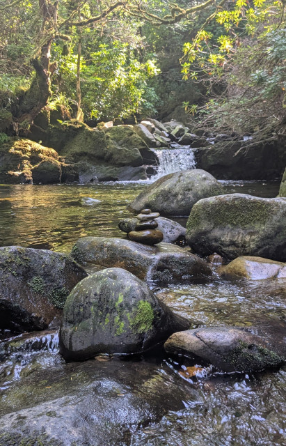 A small river in a forest, seen at water level, with wet rocks and soft light.  A pile of four smaller rocks holds the center stage.