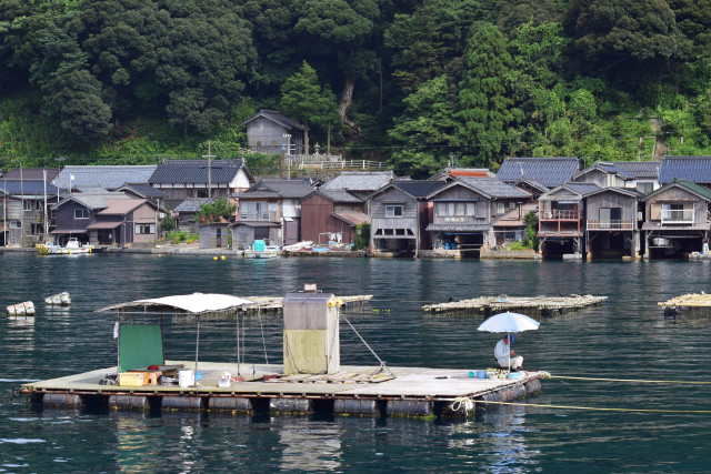 Ine, a fishing village on the coast of Kyoto Prefecture, famed for its 'boat houses' pressed close against the sea.