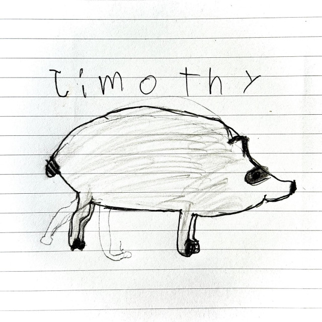 A hand-drawn illustration of a stylized animal, resembling a hedgehog, with the name "Jimothy" written above it. The drawing features a rounded body and simple legs, set against lined notebook paper.