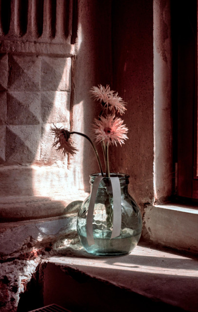 A glass vase filled with water holds three pale pink gerbera flowers on a sunlit stone windowsill inside a historic stone building. Three blossoms cast a delicate shadow on the textured wall. Warm afternoon sunlight streams through the window, highlighting the weathered masonry and creating a quiet, contemplative atmosphere.