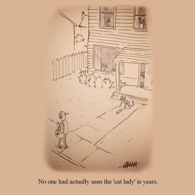Many cats peer from the windows, porch, and yard of a suburban house while a man walks past, implying the homeowner known as the unseen "cat lady" is absent; caption reads, "No one had actually seen the 'cat lady' in years."