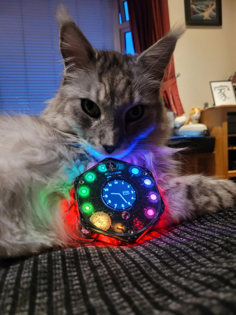 My cat sniffing my emfcamp tildagon which is set to a clock display with lots of ambient lights triggered on the badge.