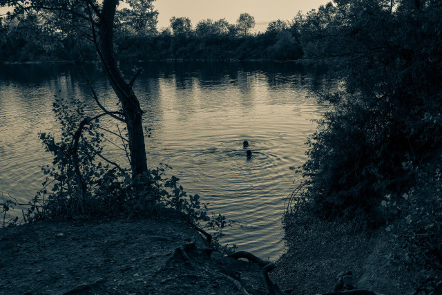 Ein  Baggersee im Abendlicht. Wir blicken ein wenig nach unten, da der See steile Ufer hat. Er ist von Bäumen umgeben. Zwei Menschen schwimmen von uns weg.

A quarry lake in the evening light. We look down a bit because the lake has steep banks. Trees surround it. Two people are swimming away from us.
