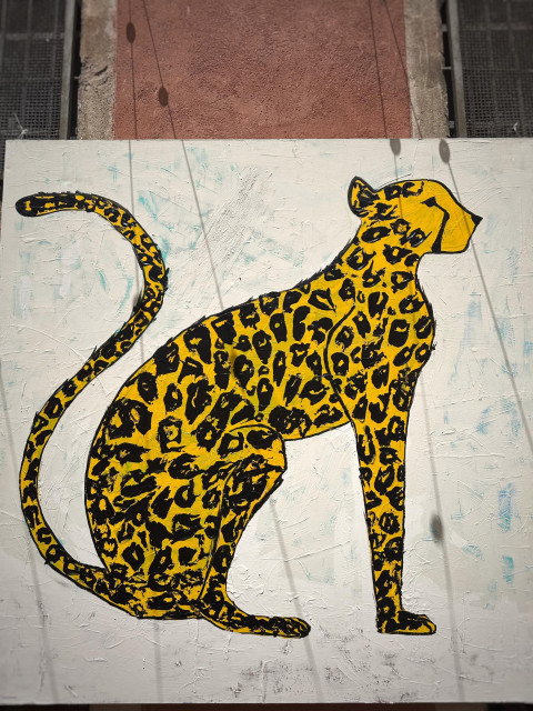 En målsnitt av en gepard