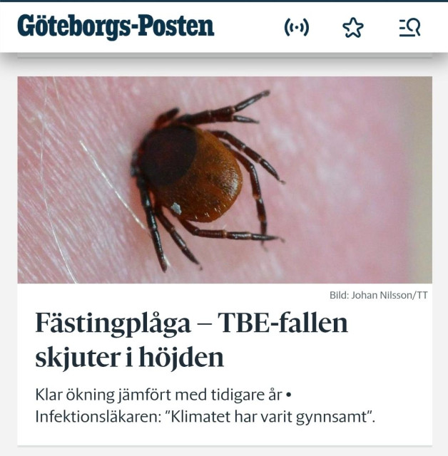Fästingplågq- TBE-fallen skjuter i höjden.

Klar ökning jämfört med tidigare år• Infektionsläkaren: "klimatet har varit gynnsamt.

/GP