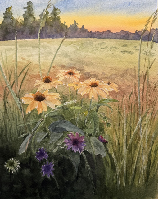 Golden black-eyed Susans and vibrant purple wildflowers rise from tall meadow grasses, glowing in the warm light of sunset as a distant tree line silhouettes the horizon beneath a softly fading sky.